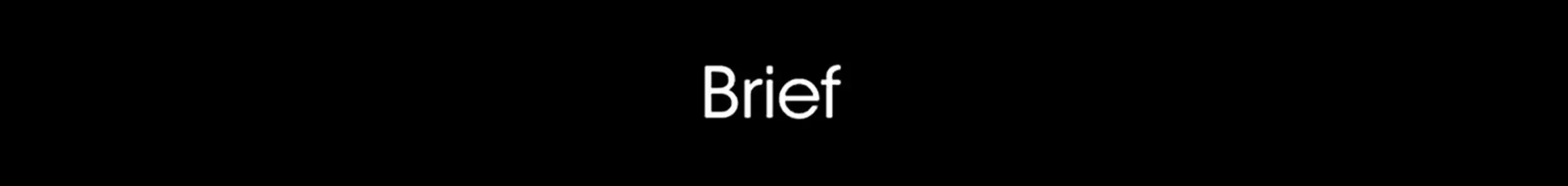 brief-banner