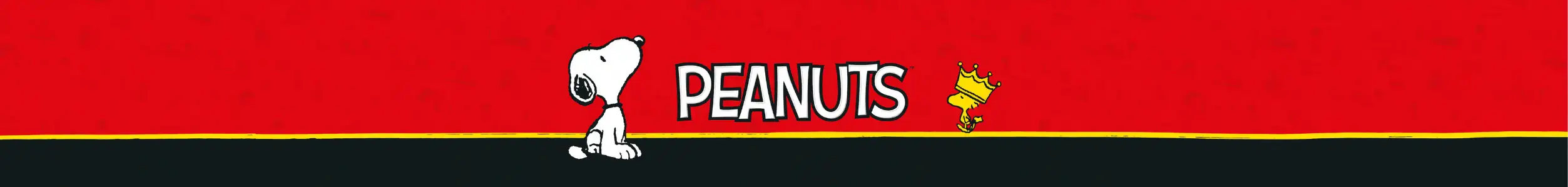 spiral-snoopy-banner